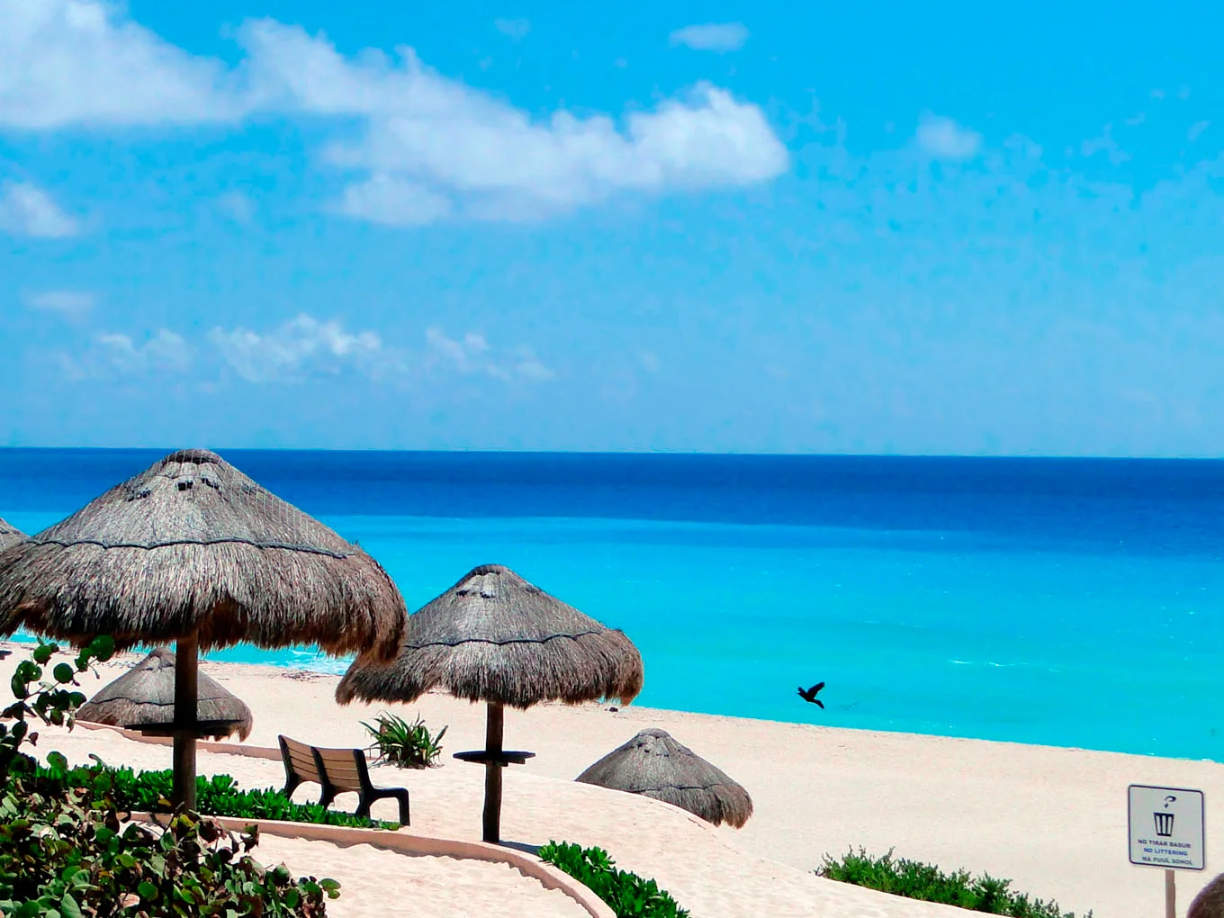 Imagen del viaje grupal